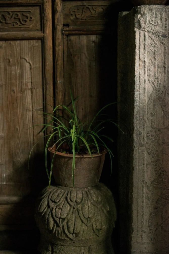 冯唐|冯唐：用美物消磨时光