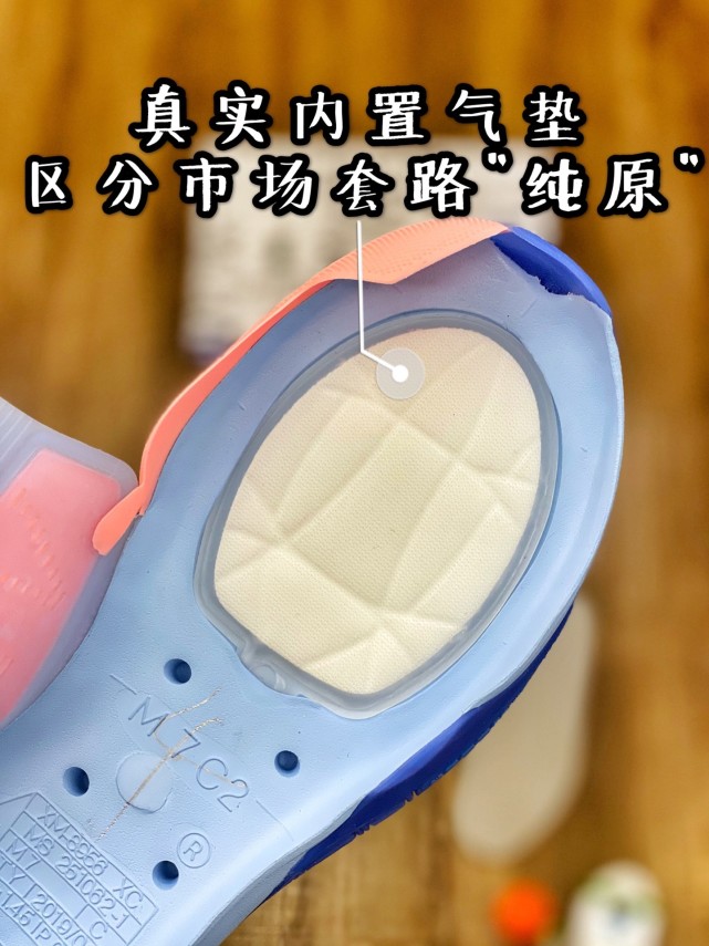 欧文六圣甲虫拆解测评