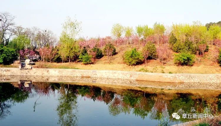 醉美春色,女郎山上樱花开