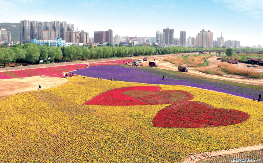 春日的宝鸡花海烂漫美成一幅画