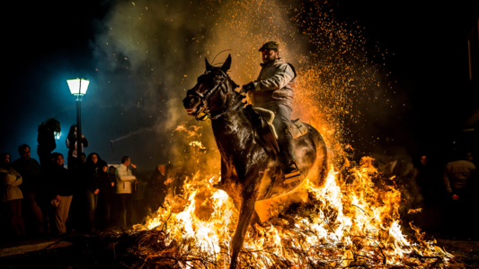 10世纪欧洲爆发"圣安东尼之火",患者浑身灼烧感,这是什么病_腾讯新闻