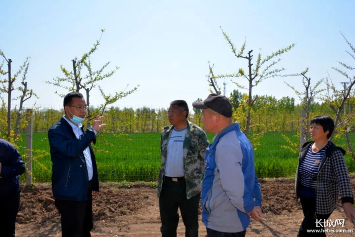 张盛茂)4月21日,河北省邢台市宁晋县农业农村局质检站站长李洪涛,在