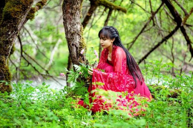 李子柒的歌单太美了