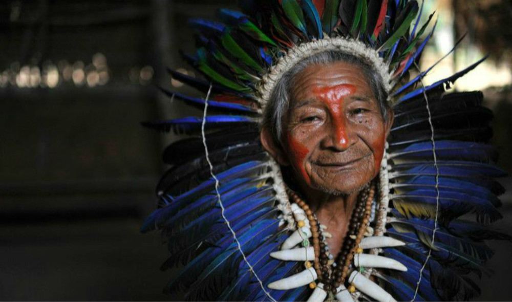 人,在亚马孙河西北部的威陀陀部落,法国和西班牙交界地区的巴斯克人