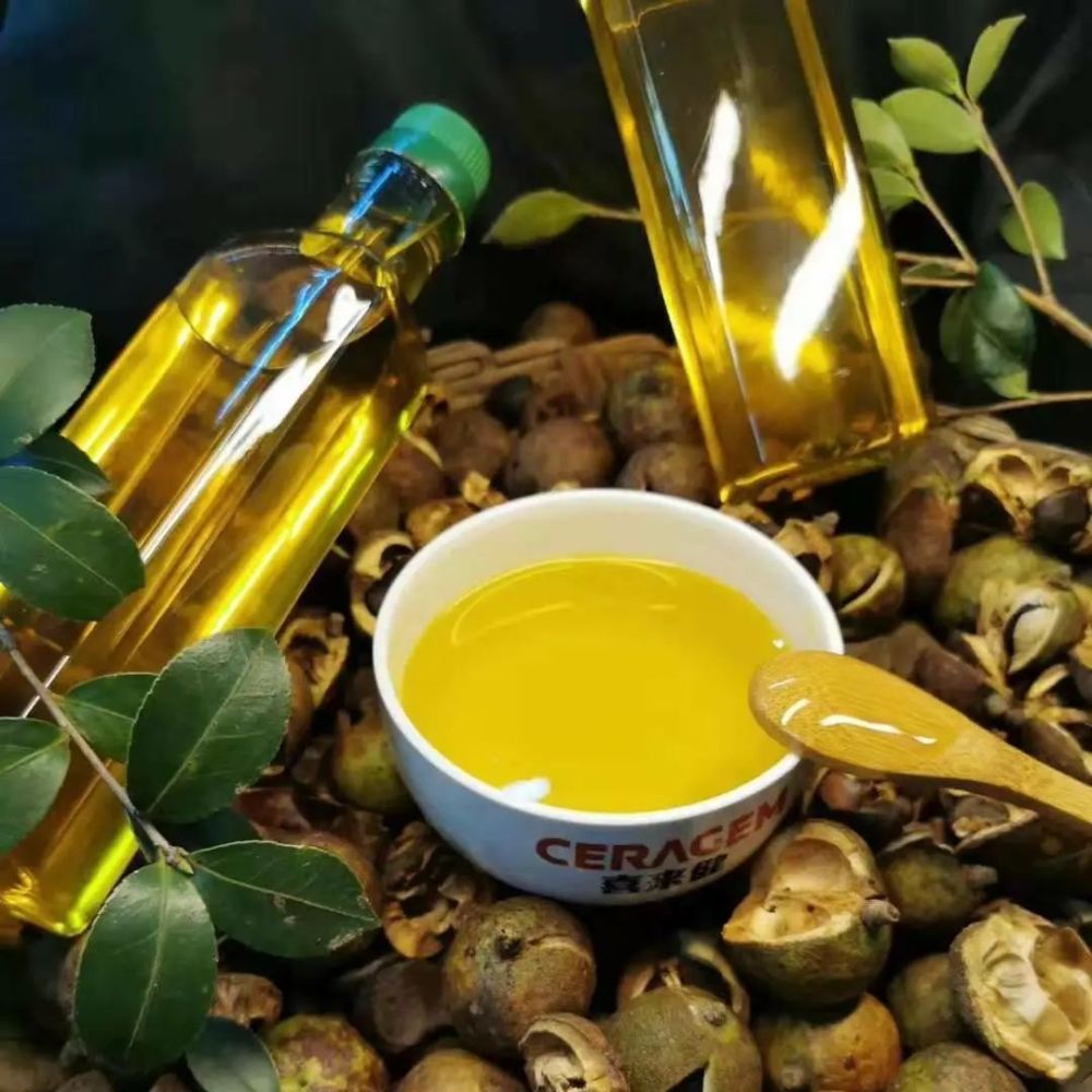 黑眼圈声明:熬夜送福利,骗你是小猪