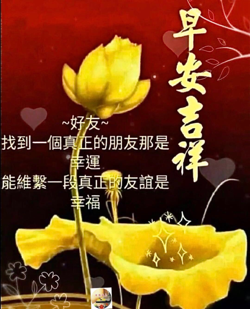 週五早上問候微信的祝福句子最新早安祝福鮮花圖片表情