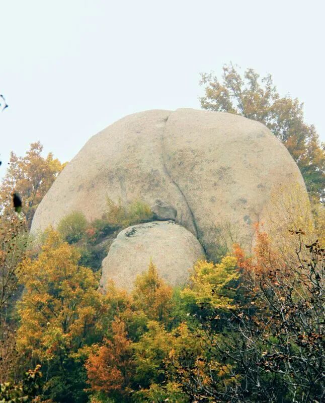 花果山!宜陽人免門票了!