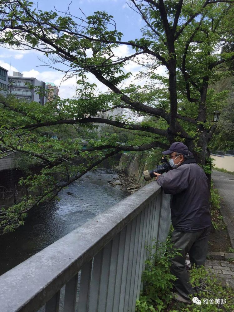 松尾芭蕉日本俳句大师算一个业余诗人 永久的隐者 腾讯新闻