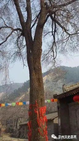 华州莲花寺长寿坡村孙悟空的传说