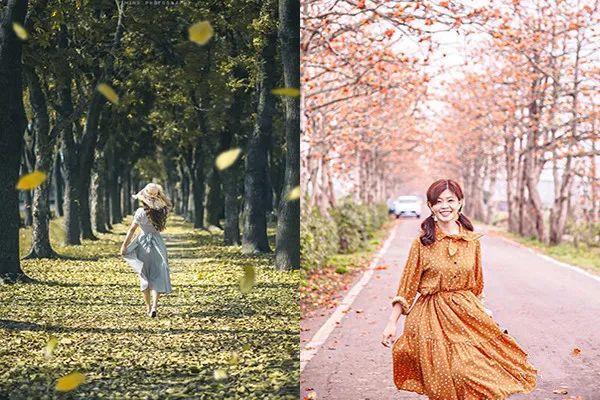 浪漫树海疗愈人心 台湾五大自然系林道美拍地 腾讯新闻