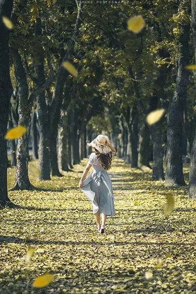 浪漫树海疗愈人心 台湾五大自然系林道美拍地 腾讯新闻