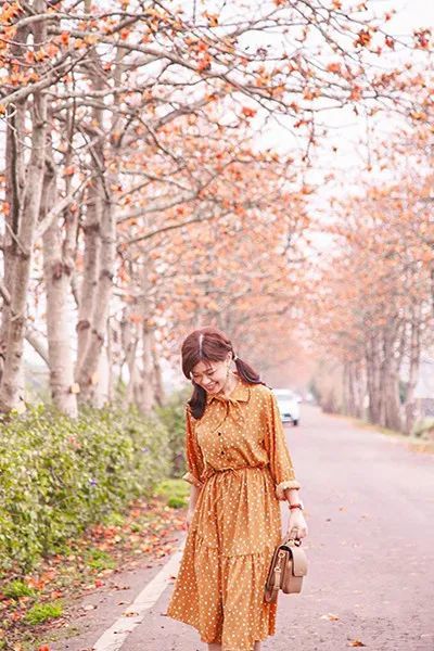 浪漫树海疗愈人心 台湾五大自然系林道美拍地 腾讯新闻