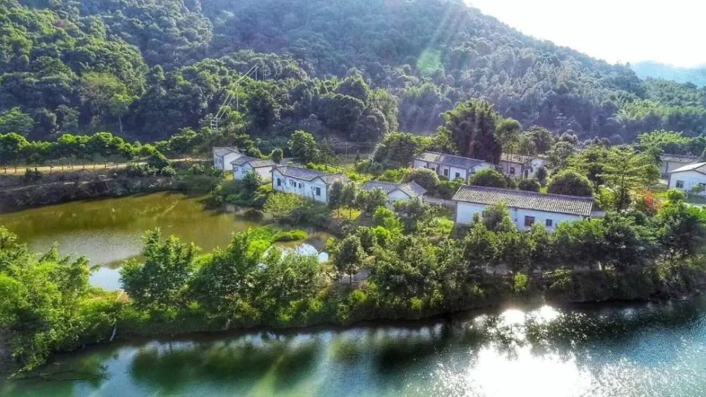 "五一"假期河源各民宿一房难求,你喜欢哪家?