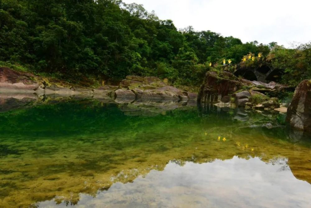 走进鹅凰嶂,邂逅自然之美,共享生态福祉