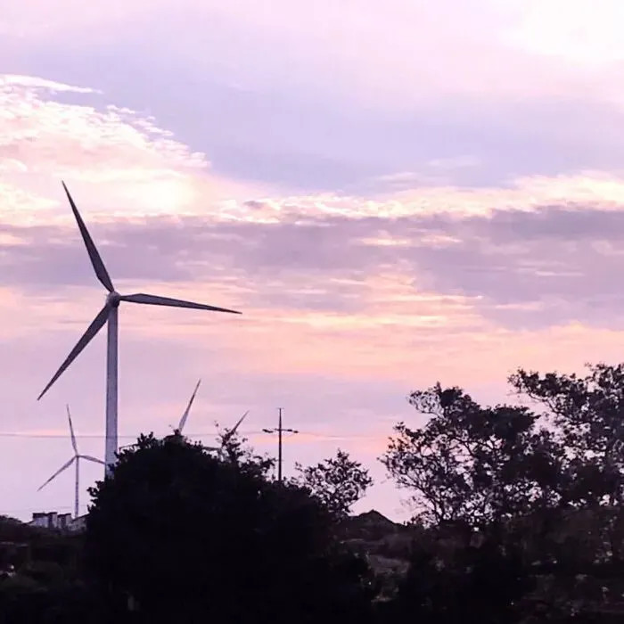 "虐到心碎"的网易云热评:你大概是我宁愿自罚三杯