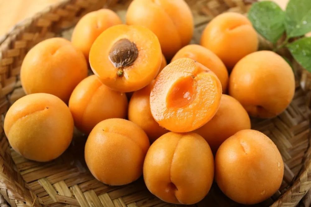 雾绒绒的大黄杏多汁肥嫩清爽解腻