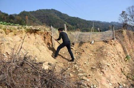 湖北一村民家祖墳冒青煙專家趕來後立即封鎖整座大山