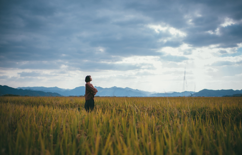 堤义明|人到中年，最高级的活法，就一个字