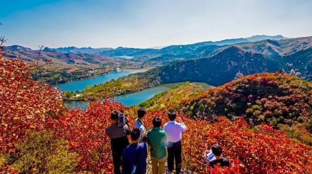 錦屏山旅遊度假區七星臺旅遊度假區濟南植物園繡源河風景區(音樂噴泉)