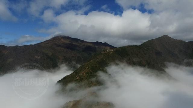 遂川千年鸟道图片