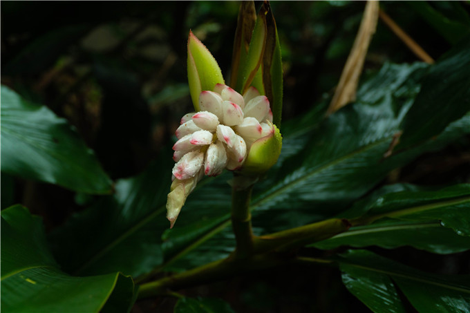 豆蔻年華與君度五一假期去佛山南丹山赴一場山花之約