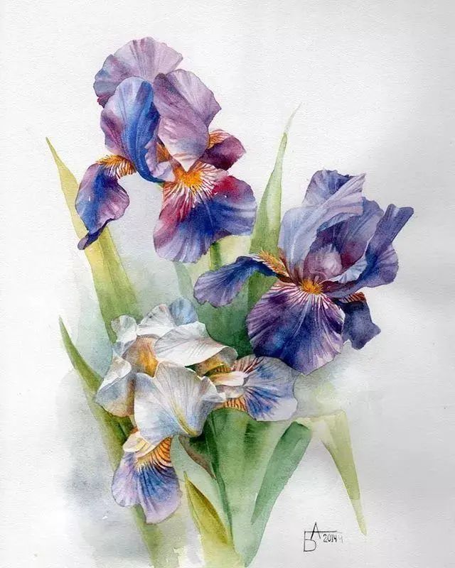 复古风格的水彩花卉,优雅且耐看