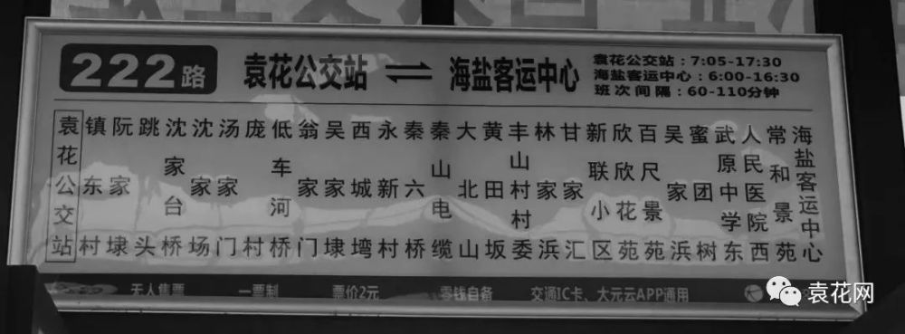 信否由你海宁袁花东大门通往海盐的公交线路开通啦