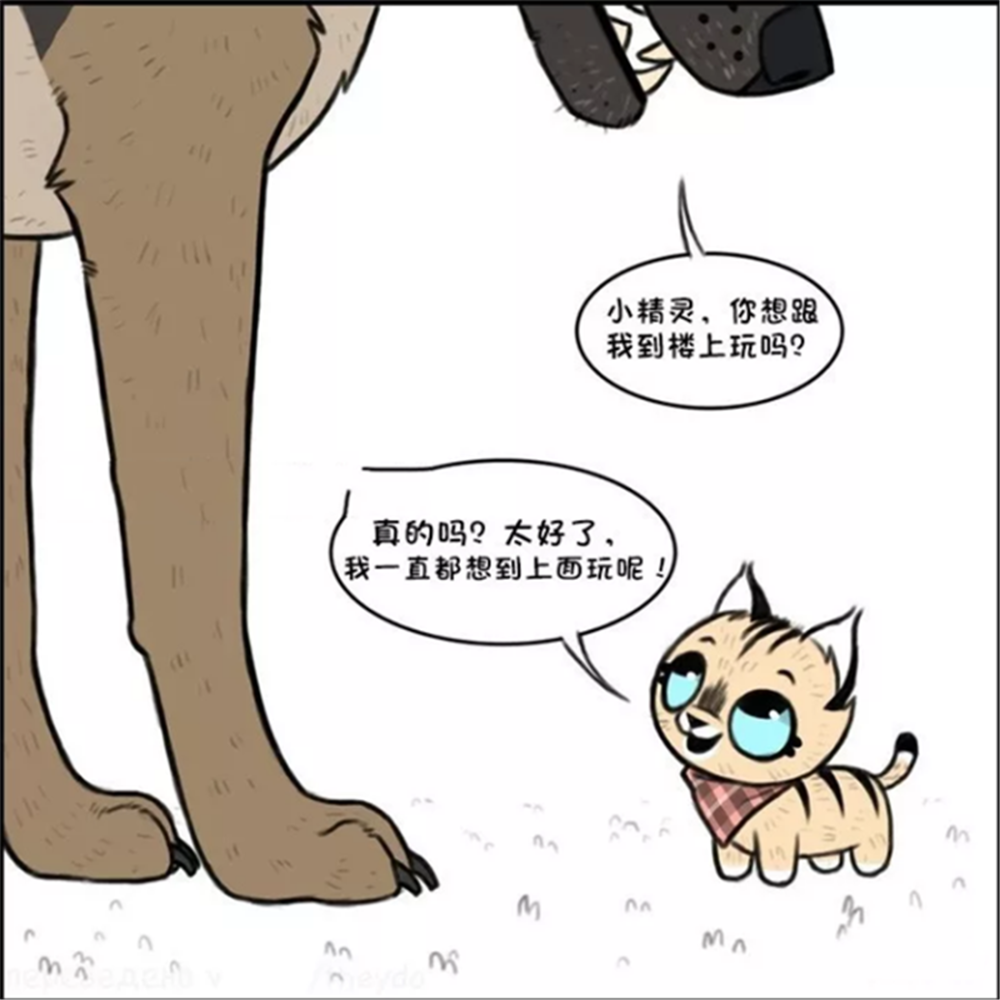 搞笑漫画 军犬请小家猫到家里做客 小短腿爬楼梯很是费劲 军犬耐心等待 腾讯新闻