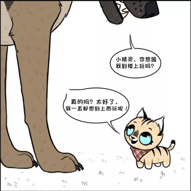 搞笑漫画 军犬请小家猫到家里做客 小短腿爬楼梯很是费劲 军犬耐心等待 搞笑漫画