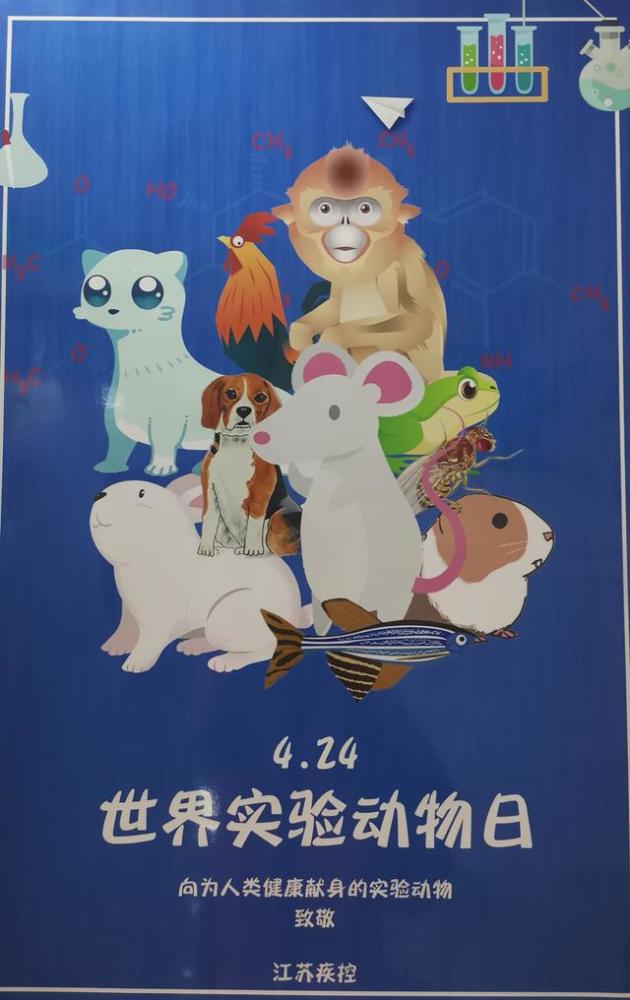 世界实验动物日:今天,向这些可爱的精灵们致敬