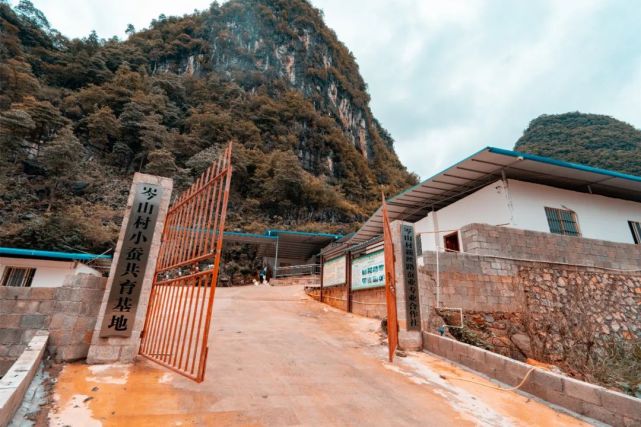 布泉乡岑山村小蚕共育新丝路村民致富新道路