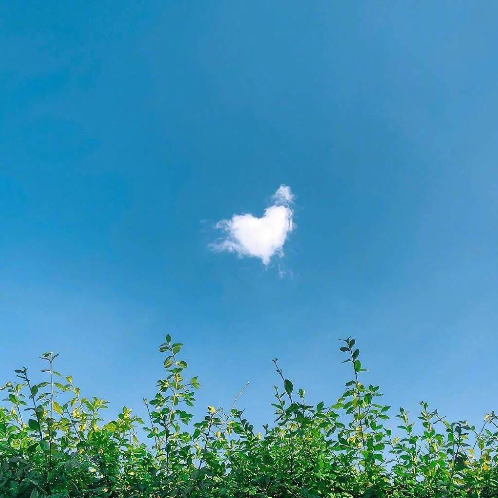 绿色系背景图:青春是一场马不停蹄的旅行,而你是路上唯一的风景