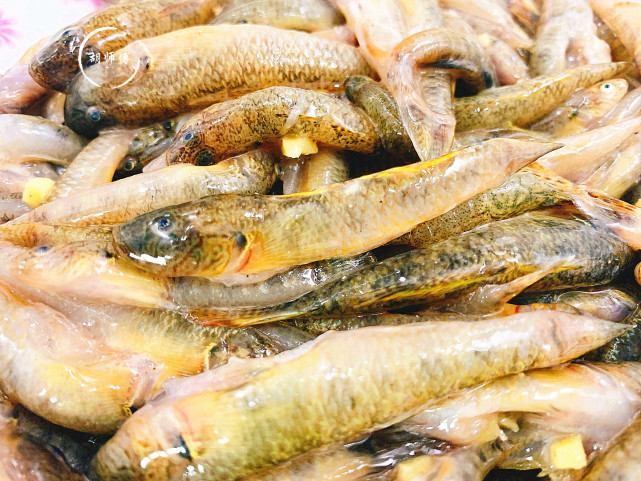 第一步:首先将绿豆鱼肚子里面的肠子去掉,然后用流水将绿豆鱼清洗2遍