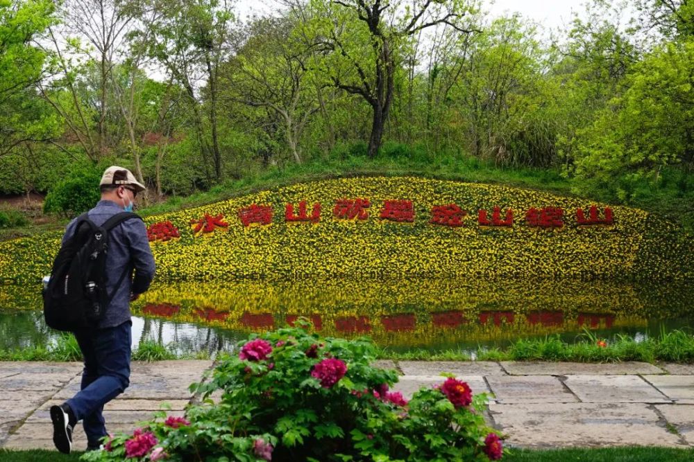 以花为媒西溪湿地与您共享春天 腾讯新闻