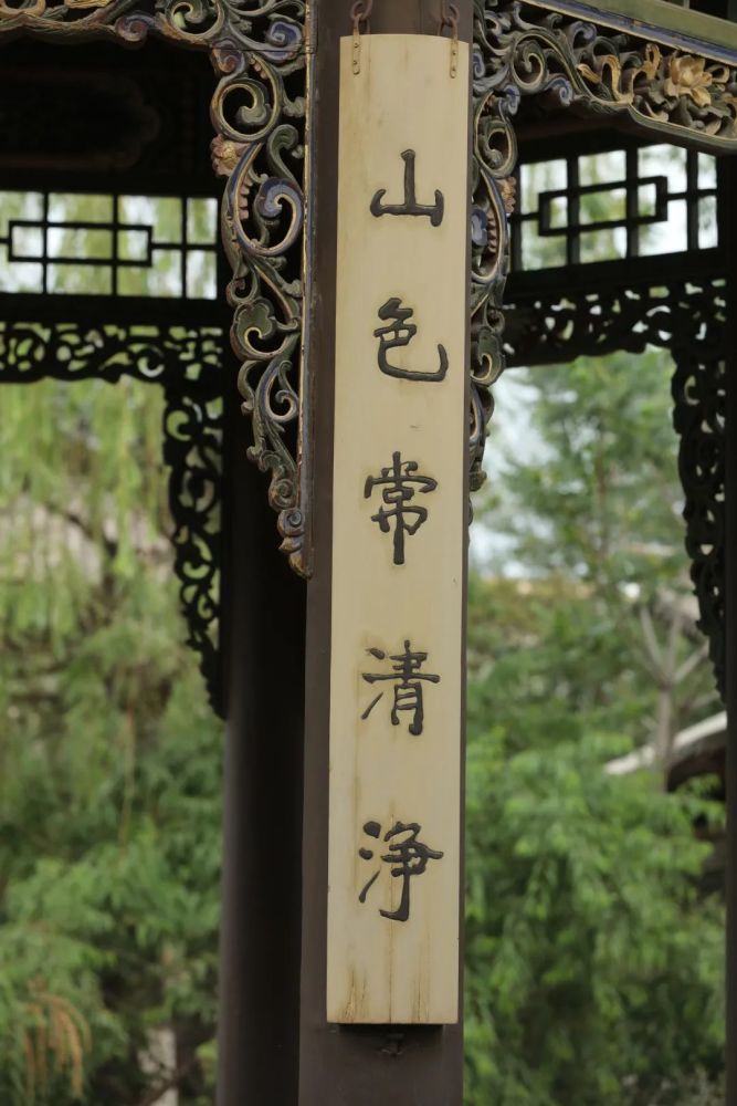 经历了十年她选择回到最原始的地方