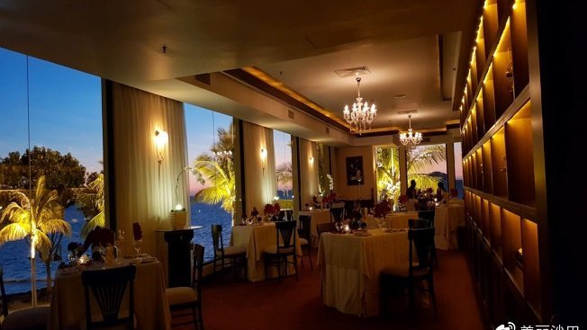 疫情过后,我想与你在沙巴撒把狗粮