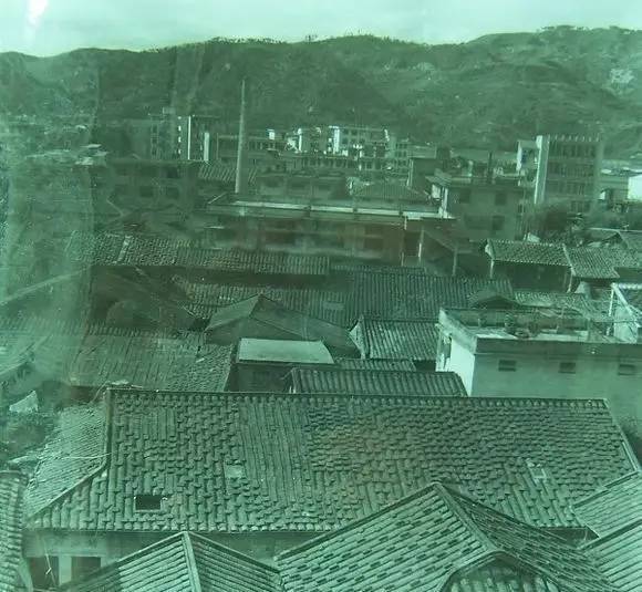 《爱尚霞浦论坛》,《夏念长摄影作品选》,《闽东革命历史》