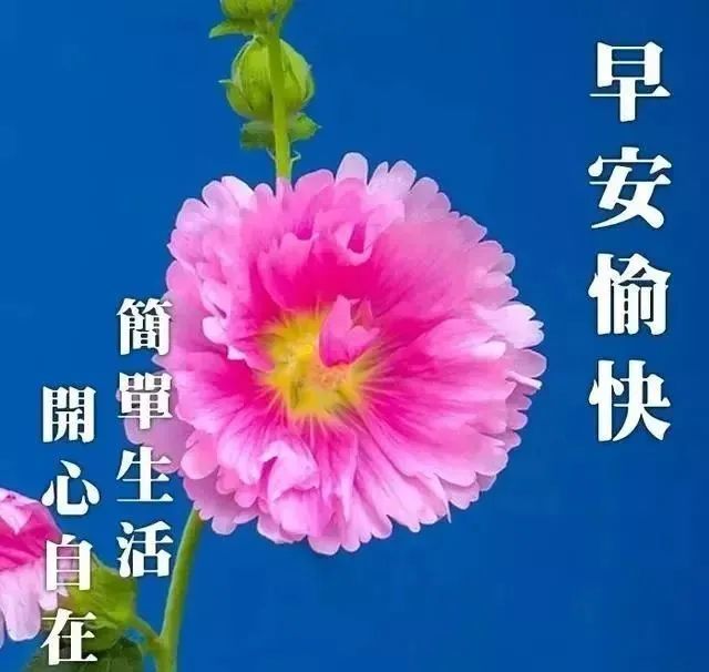 周六清晨问候语祝福语简短温馨早上问好图片大全最新