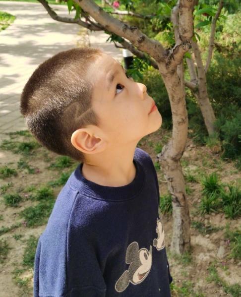 6岁嗯哼近照曝光!剃板寸显帅气模样,红唇齿白与霍思燕一个模子