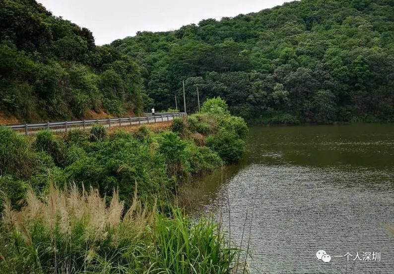 深圳市宝安区燕罗街道北部罗田林场内公交路线:地铁11号线【松岗站】g