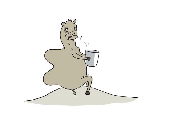 爆笑漫画:小骆驼口渴想喝水,却发现穷骆驼与富骆驼喝水的方式都不一样