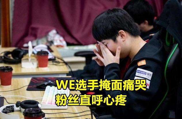 2位选手赛后掩面哭泣,草莓哽咽感叹:他们太可惜|悲伤|维鲁斯|we战队
