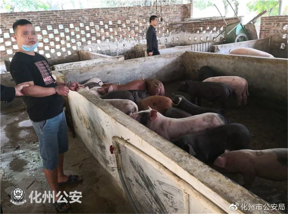 据其交代,今天3月下旬,广西陆川籍的生猪屠宰户肖某春,在与广东廉江石