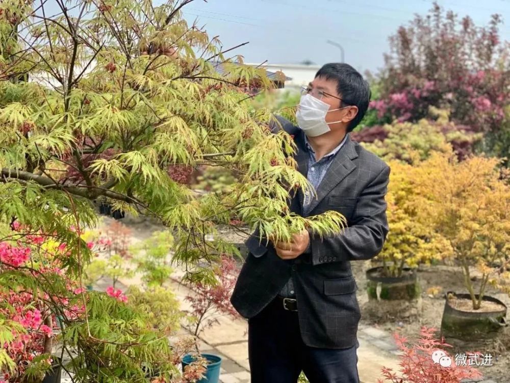武进这个地方 为何让园艺爱好者趋之若鹜 腾讯新闻