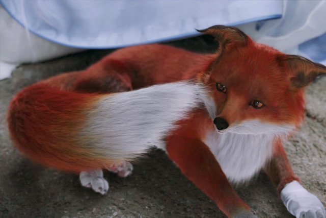 三生三世枕上书帝君跳动菩提心种树生机缘白凤九延续爱