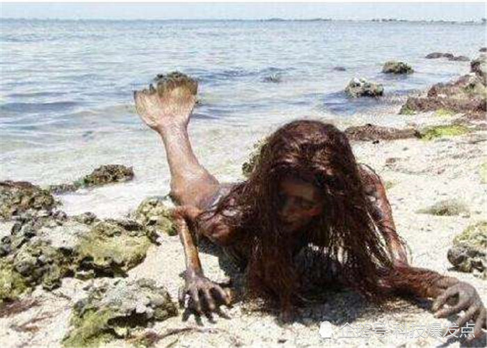 美人鱼是人类对于大海的美好幻想,在我们的心中,美人鱼是形象非常优美