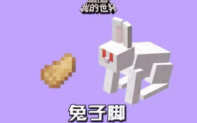 我的世界盘点最稀有的物品你知道几个