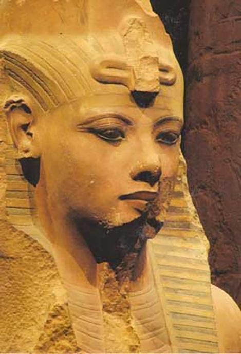古埃及人人种图片