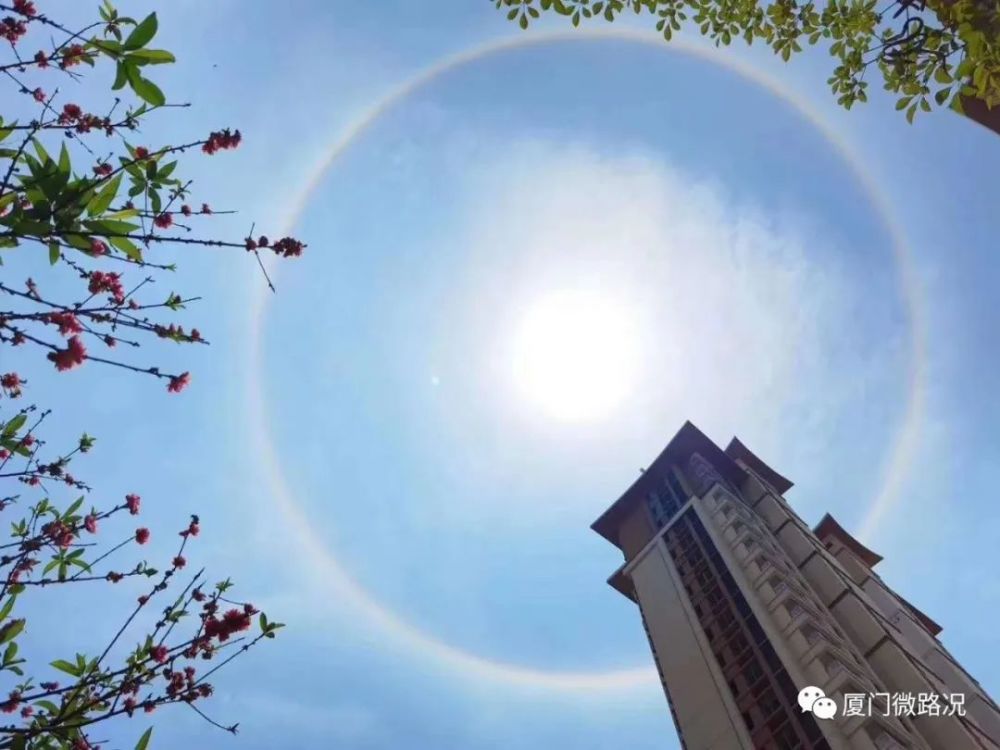 像被圆形彩虹拥抱着太阳周围出现了一圈漂亮的光环来啦!
