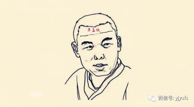 七种抬头纹形状看命运你的抬头纹是哪种就是什么命